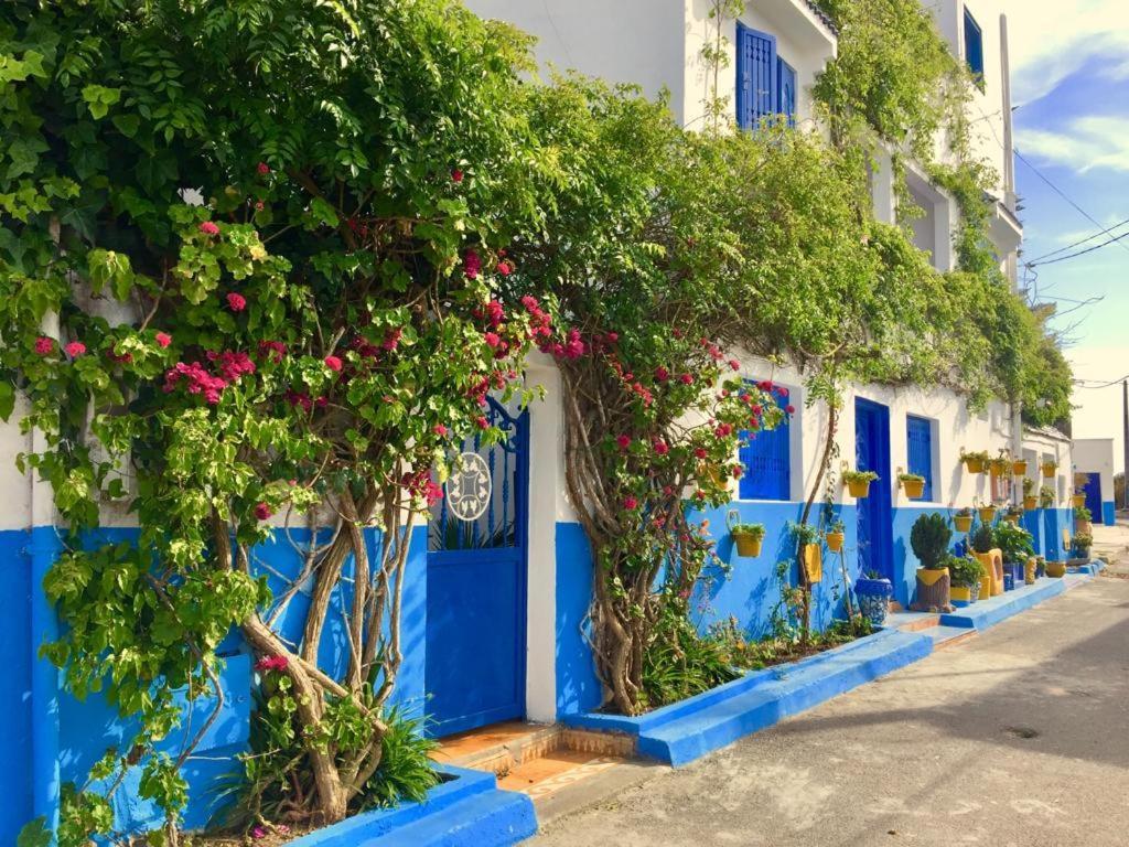 Chez Souad Apartment วาลิเดีย ห้อง รูปภาพ